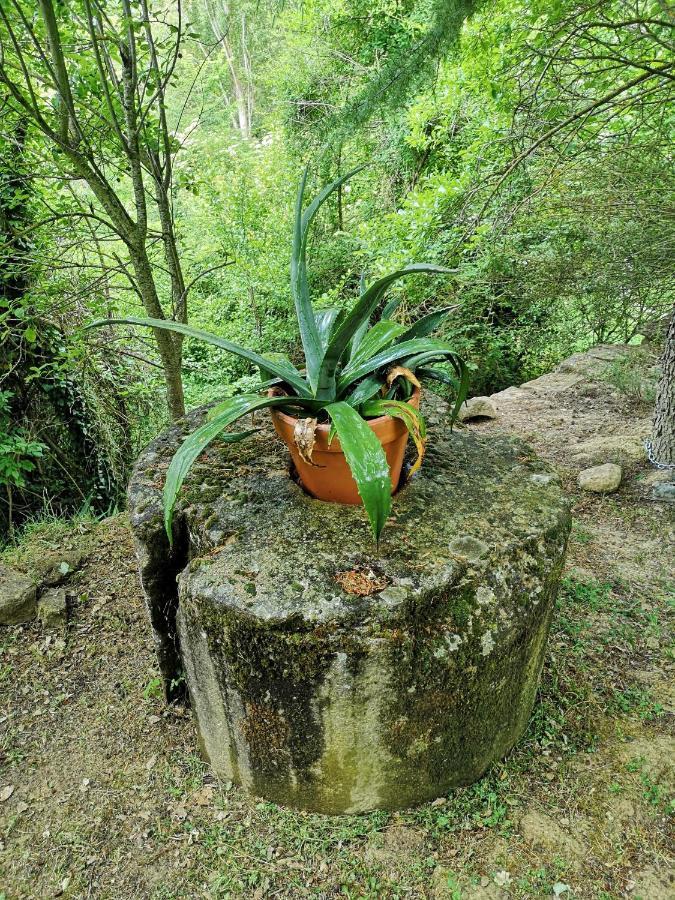 Casa Rural Ardetxal A 16Km De Logrono Y Laguardia Vinaspre Εξωτερικό φωτογραφία